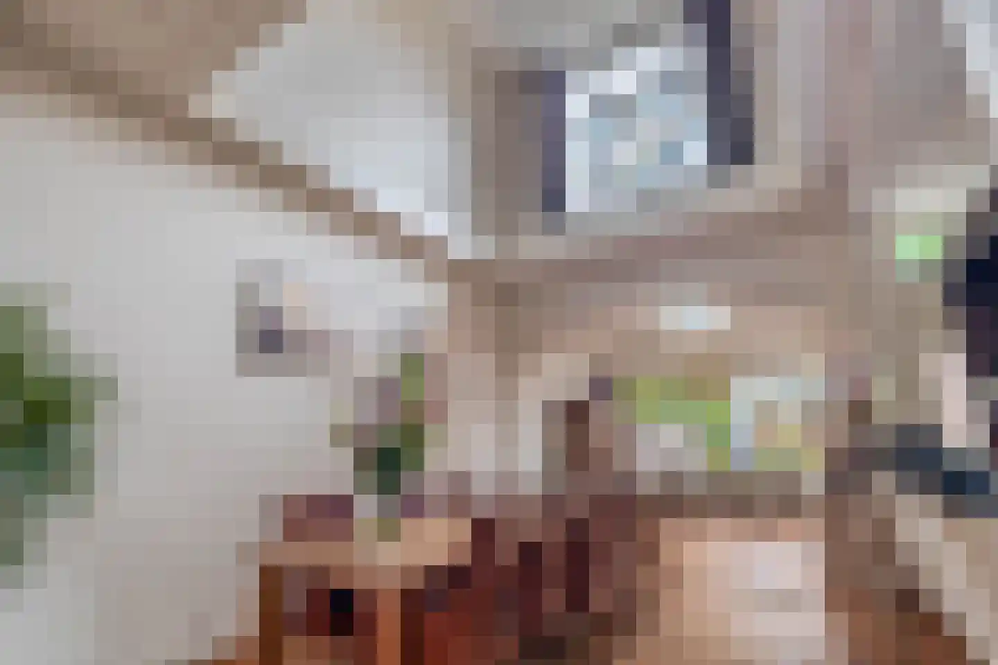 Prins Hendrikstraat 57 Eindhoven thumbnail 14