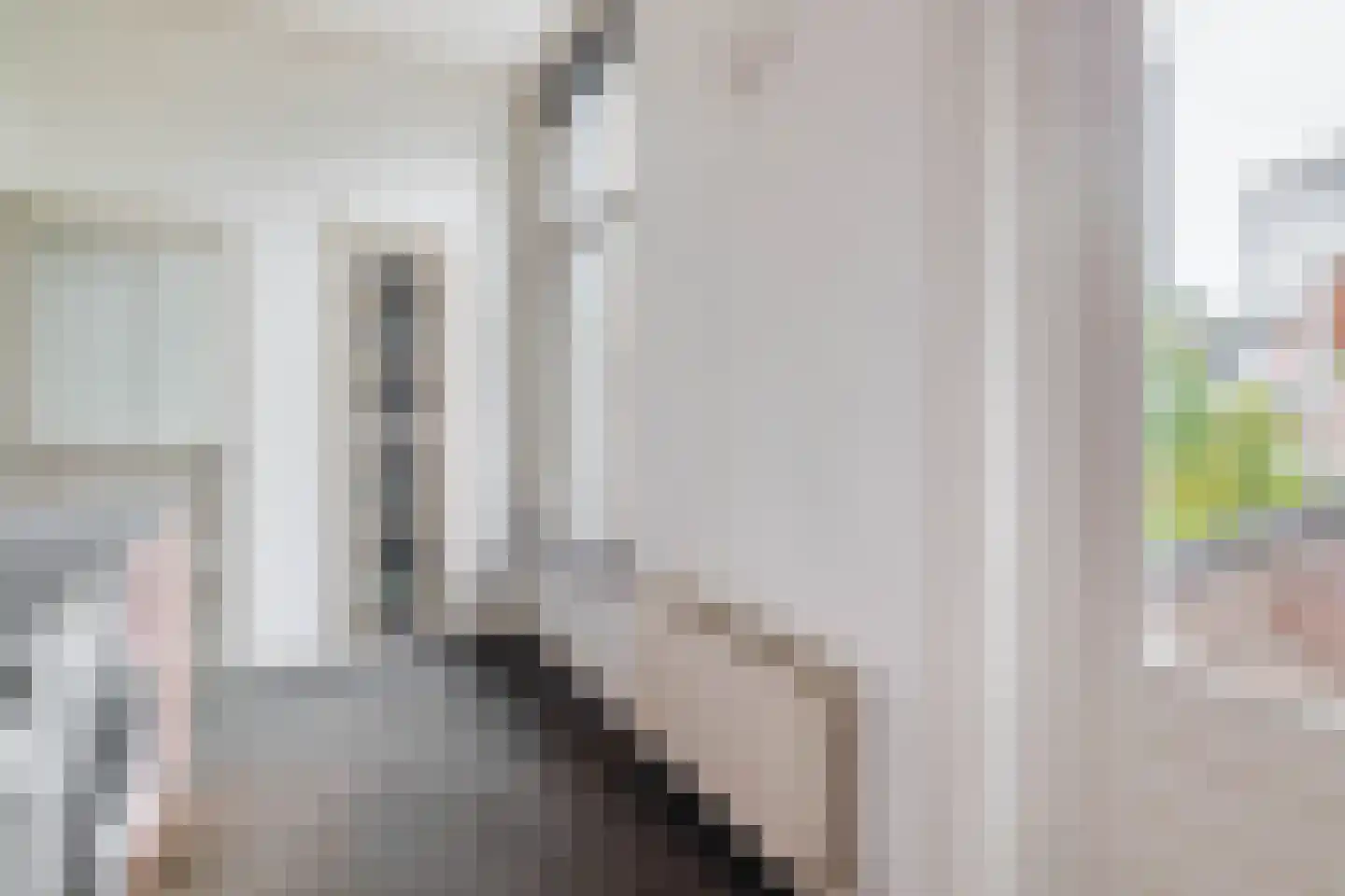 Prins Hendrikstraat 57 Eindhoven thumbnail 42