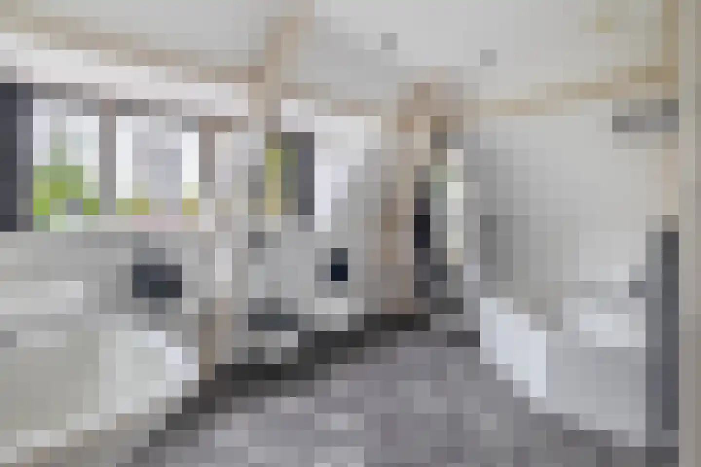 Prins Hendrikstraat 57 Eindhoven thumbnail 49