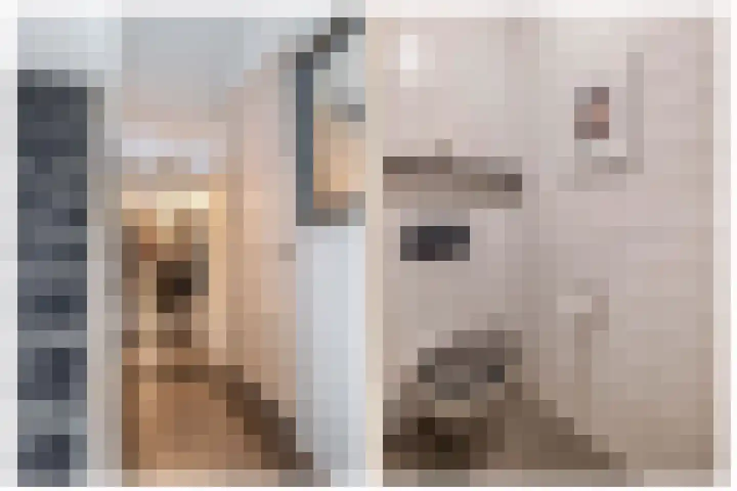 Prins Hendrikstraat 57 Eindhoven thumbnail 7