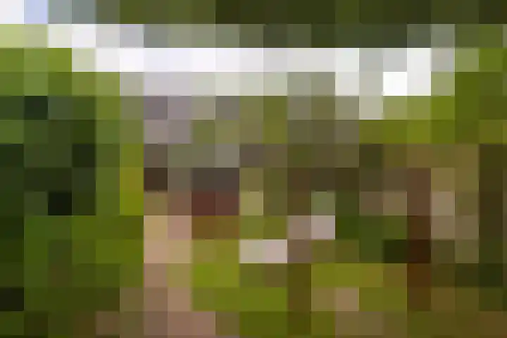 Prins Hendrikstraat 57 Wateringen thumbnail 23