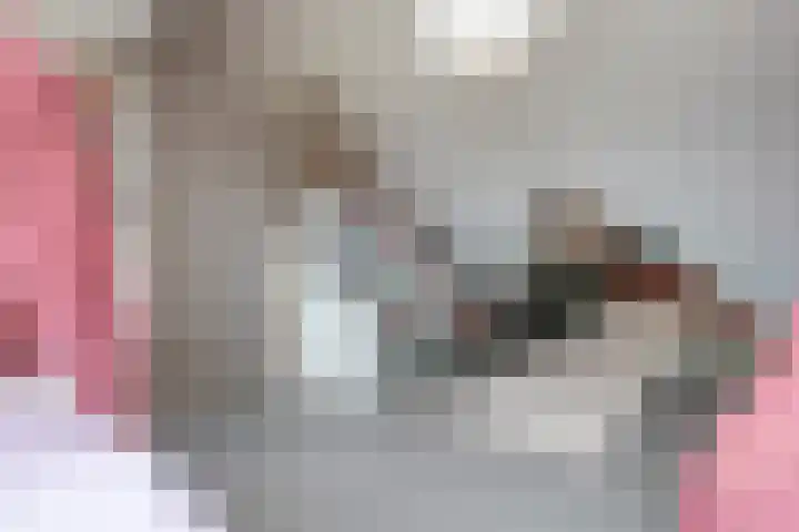 Prins Hendrikstraat 57 Wateringen thumbnail 37