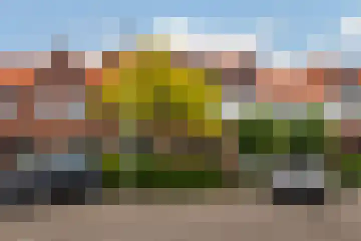 Prins Hendrikstraat 57 Wateringen thumbnail 41