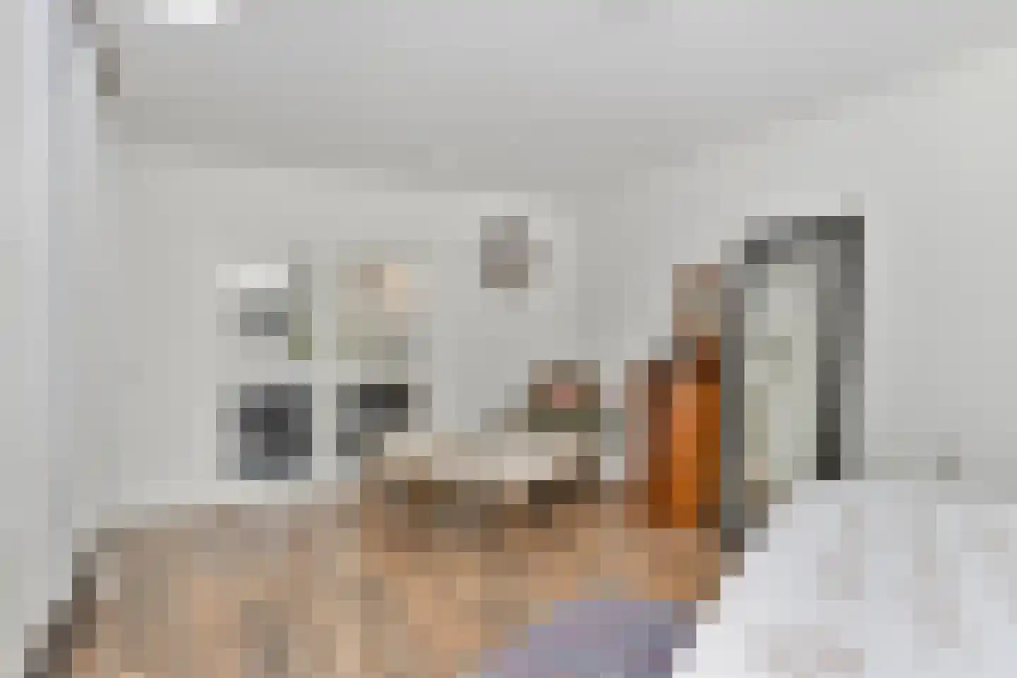 Prins Hendrikstraat 58 Alphen aan den Rijn thumbnail 22