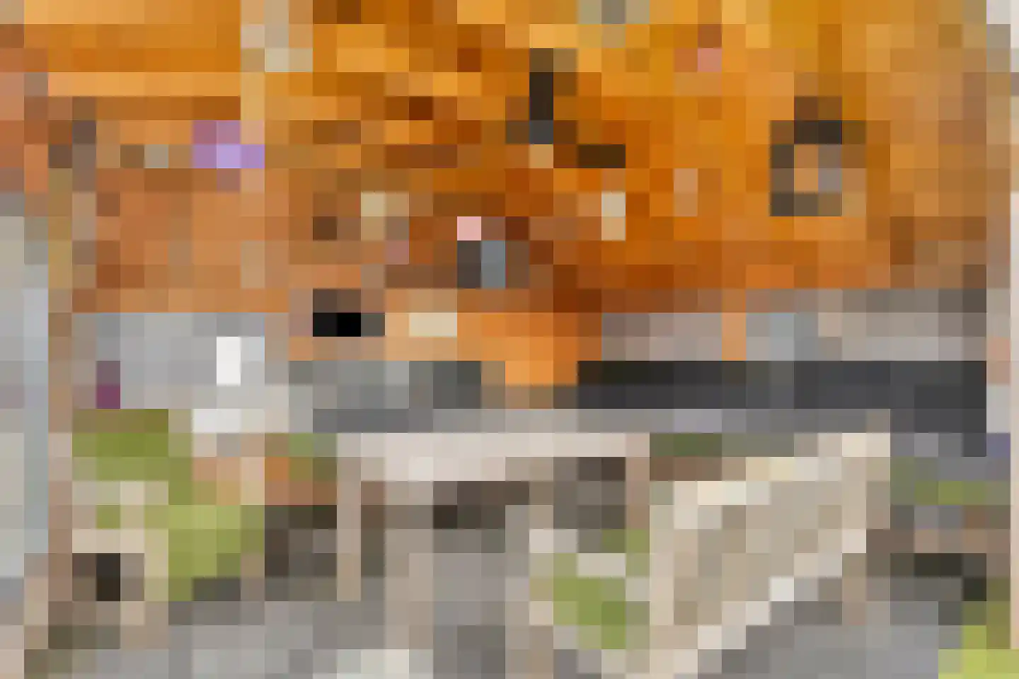 Prins Hendrikstraat 58 Alphen aan den Rijn thumbnail 35