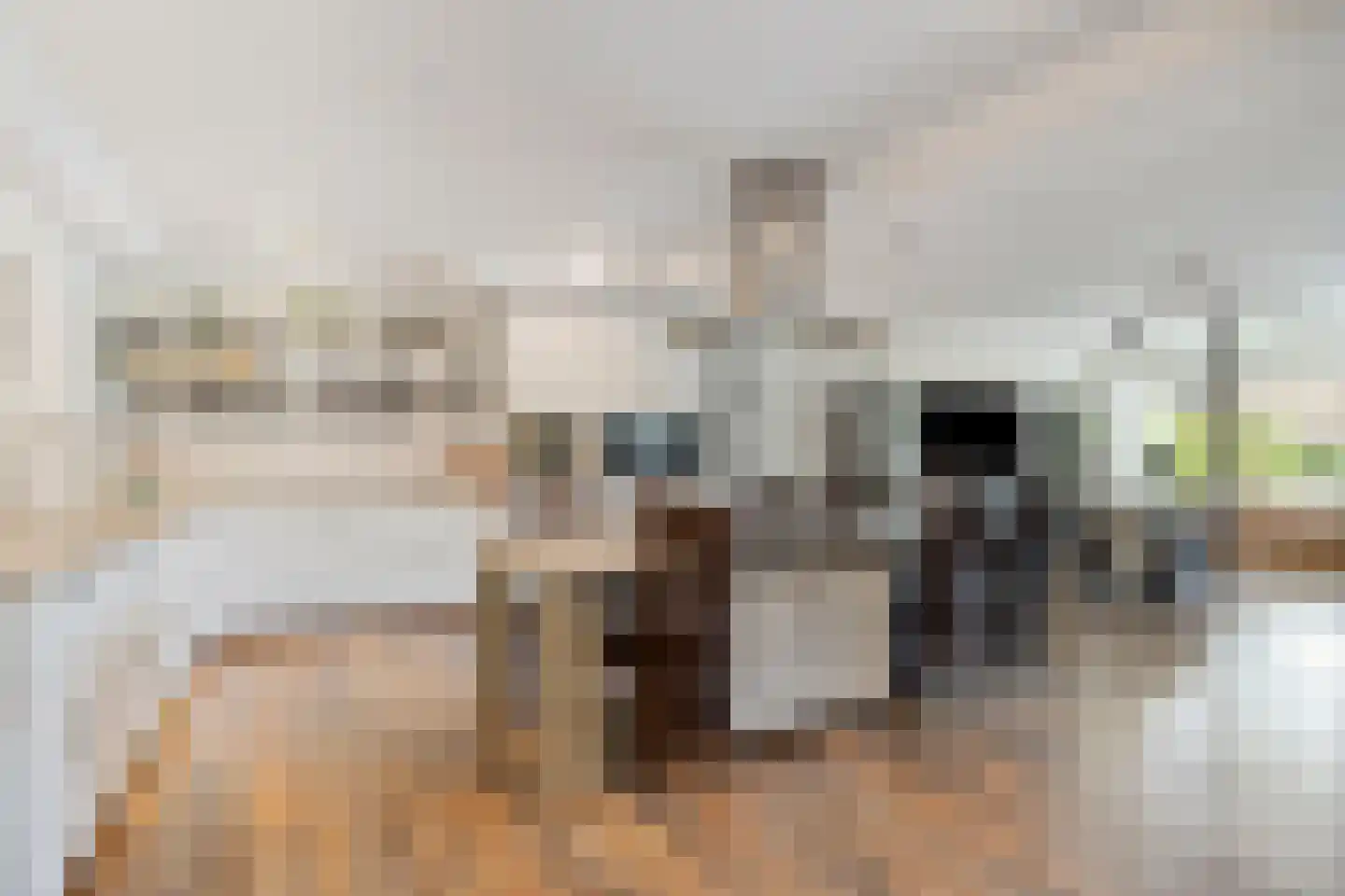 Prins Hendrikstraat 58 Alphen aan den Rijn thumbnail 8
