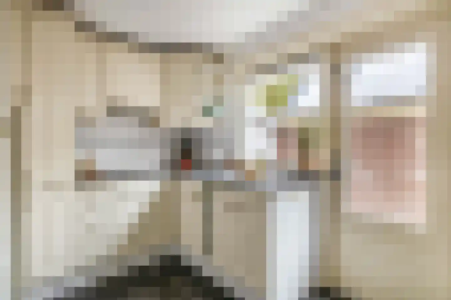 Prins Hendrikstraat 58 Voorburg thumbnail 11