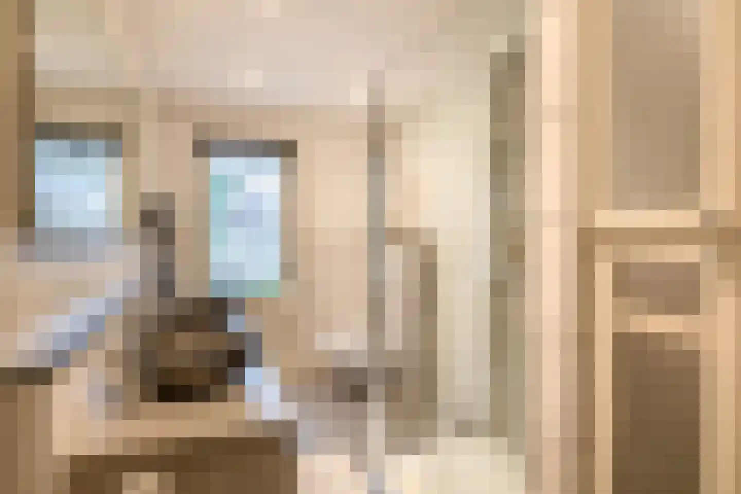 Prins Hendrikstraat 58 Voorburg thumbnail 17