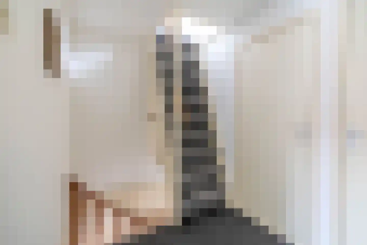Prins Hendrikstraat 58 Voorburg thumbnail 23