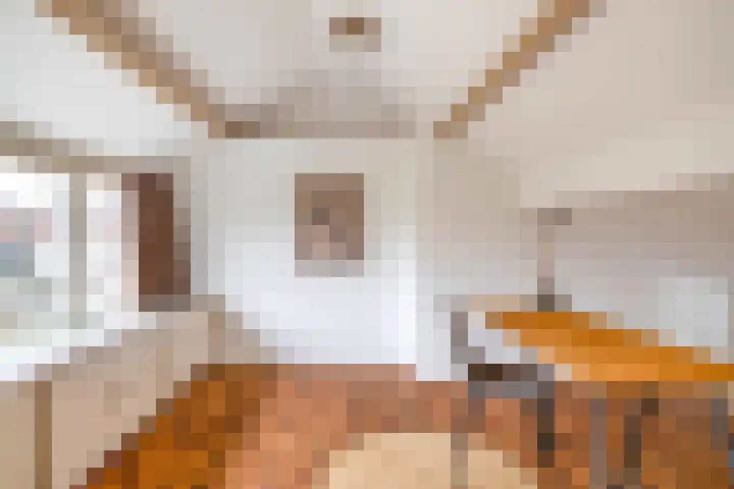Prins Hendrikstraat 58 Voorburg thumbnail 25