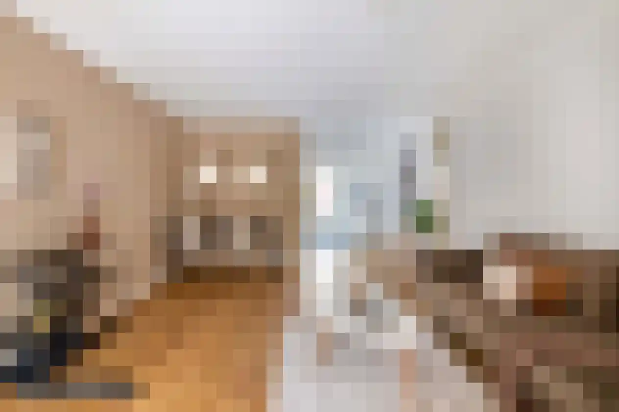 Prins Hendrikstraat 58 Voorburg thumbnail 5
