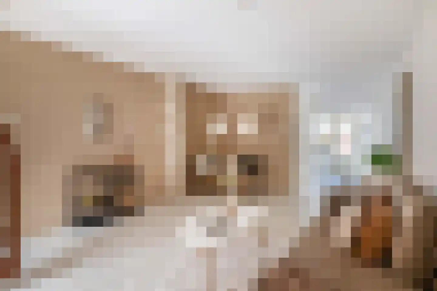 Prins Hendrikstraat 58 Voorburg thumbnail 8