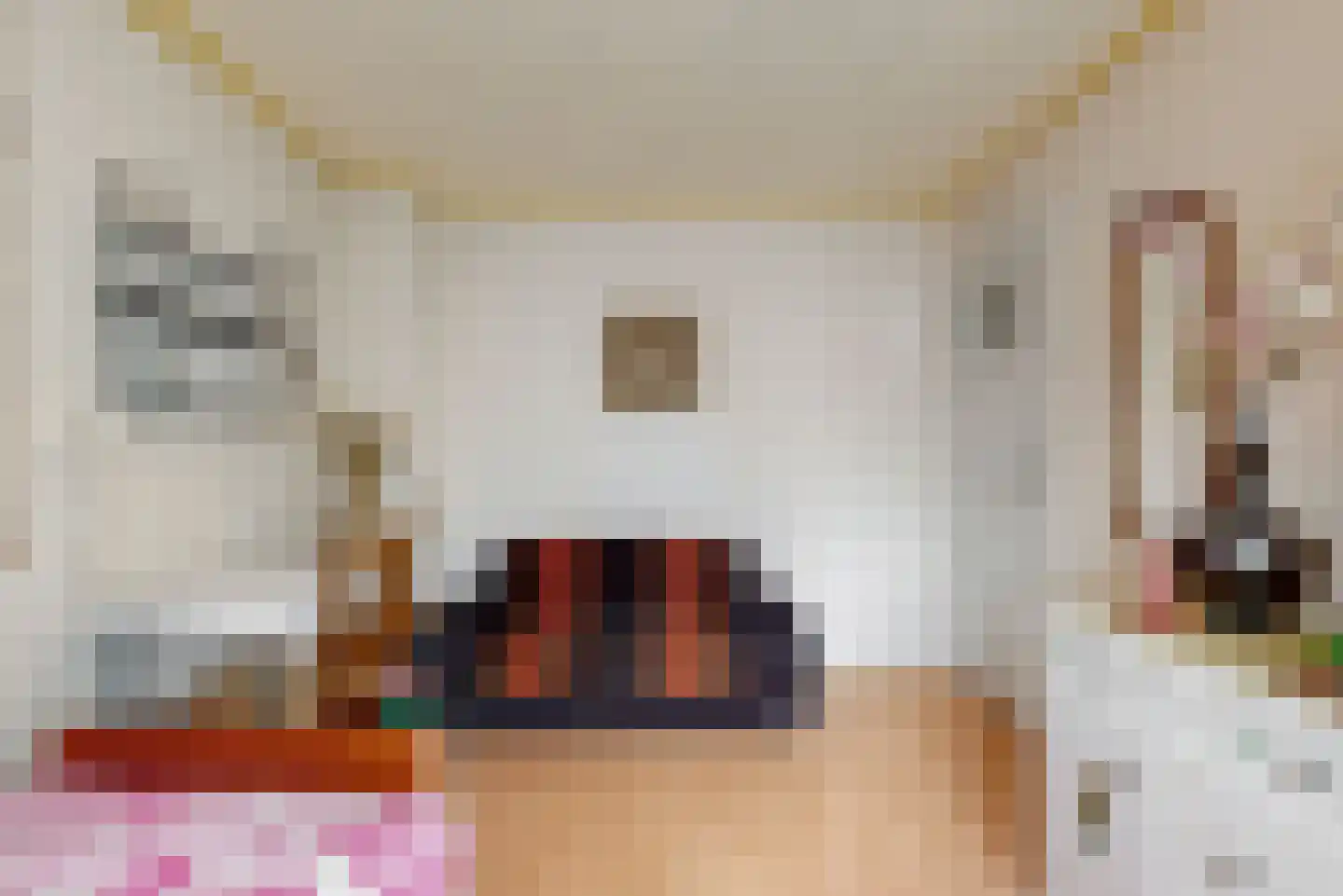Prins Hendrikstraat 6 Reuver thumbnail 19