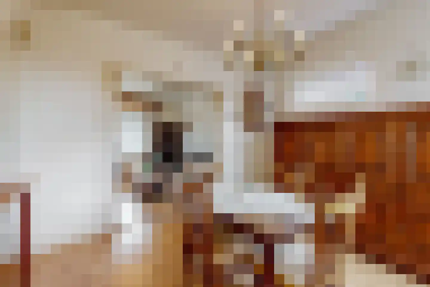 Prins Hendrikstraat 6 Reuver thumbnail 6