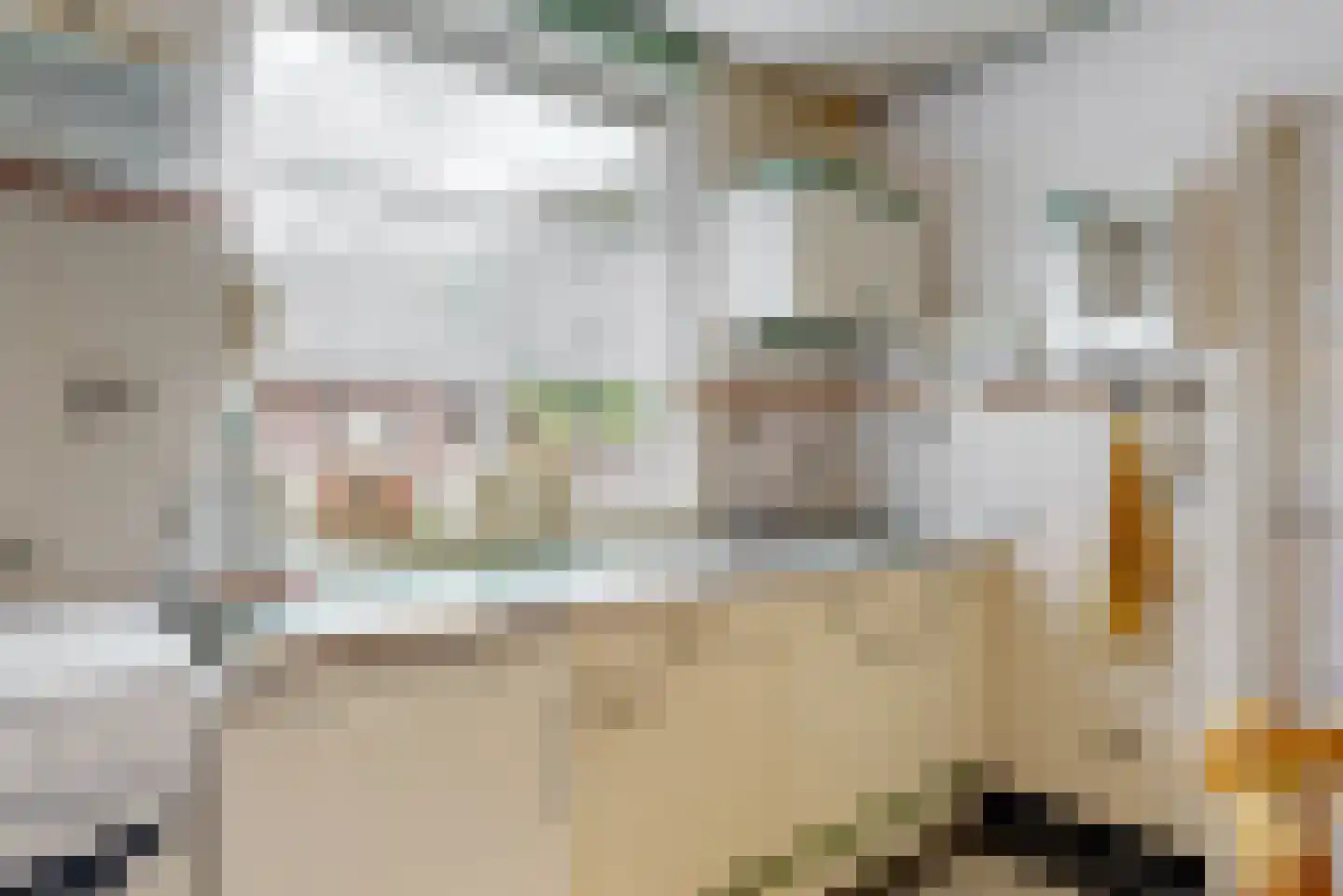 Prins Hendrikstraat 6 Reuver thumbnail 8