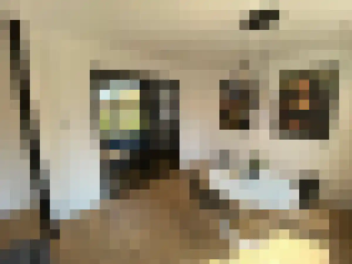 Prins Hendrikstraat 6 Rotterdam thumbnail 6