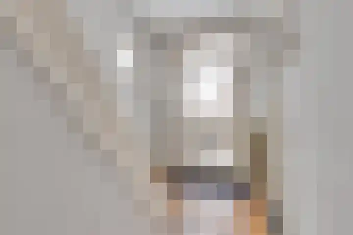 Prins Hendrikstraat 6 Swalmen thumbnail 5