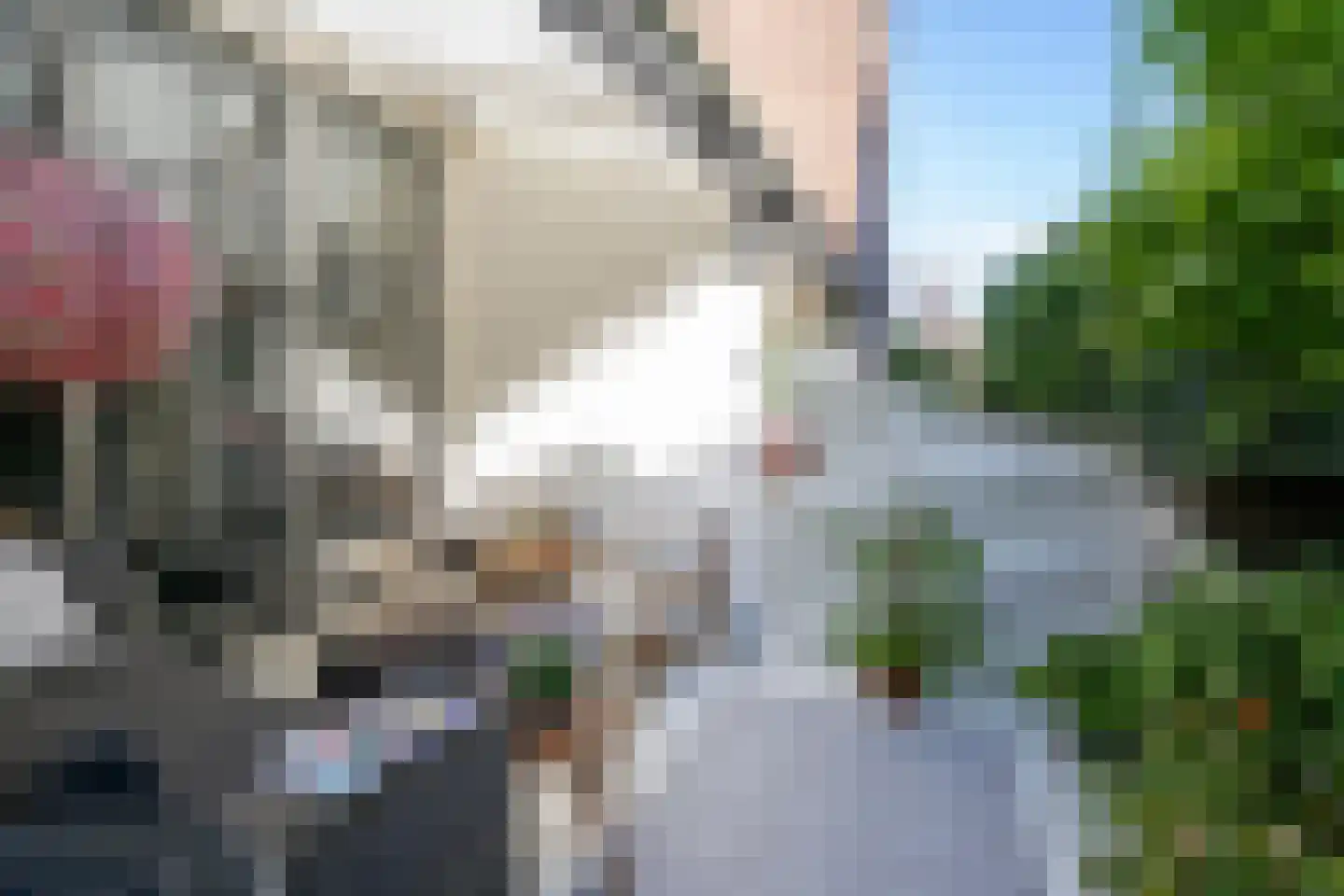 Prins Hendrikstraat 6 Zwolle thumbnail 22