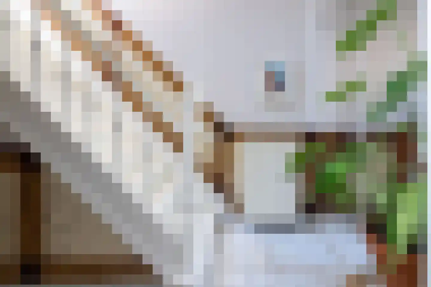 Prins Hendrikstraat 6 Zwolle thumbnail 31