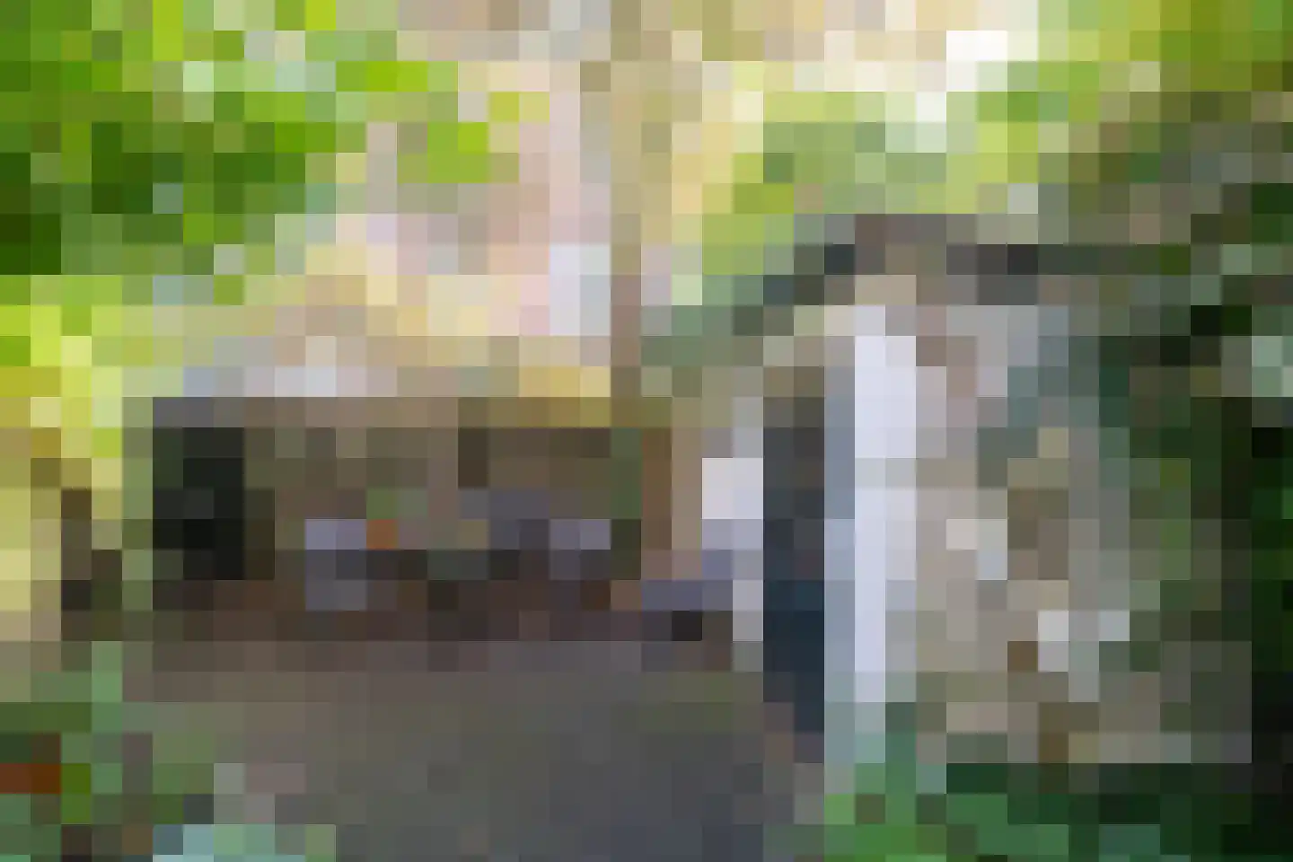 Prins Hendrikstraat 6 Zwolle thumbnail 58