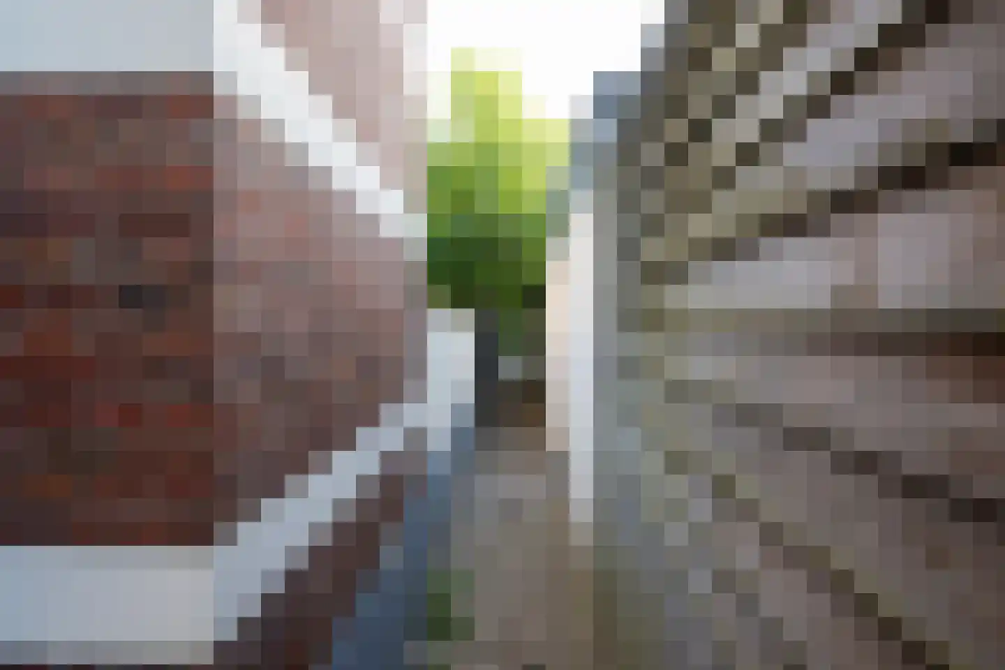 Prins Hendrikstraat 6 Zwolle thumbnail 60
