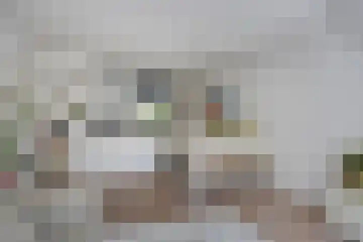 Prins Hendrikstraat 61 Eindhoven thumbnail 13