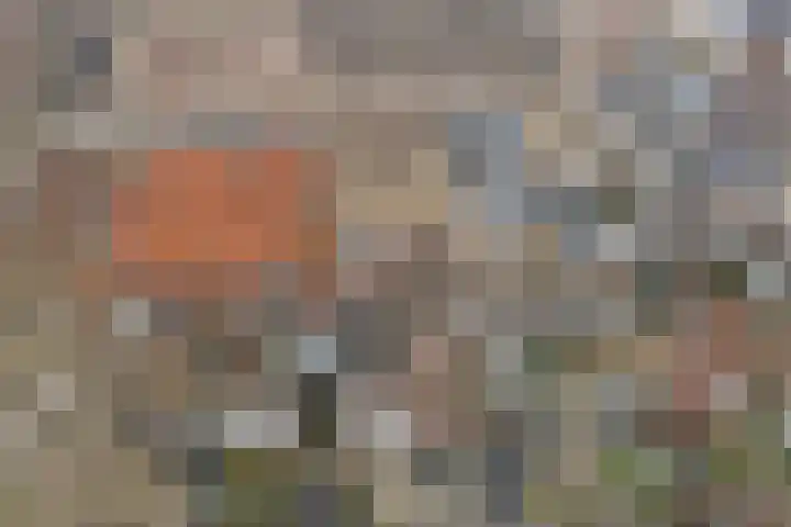 Prins Hendrikstraat 64 b Gouda thumbnail 23