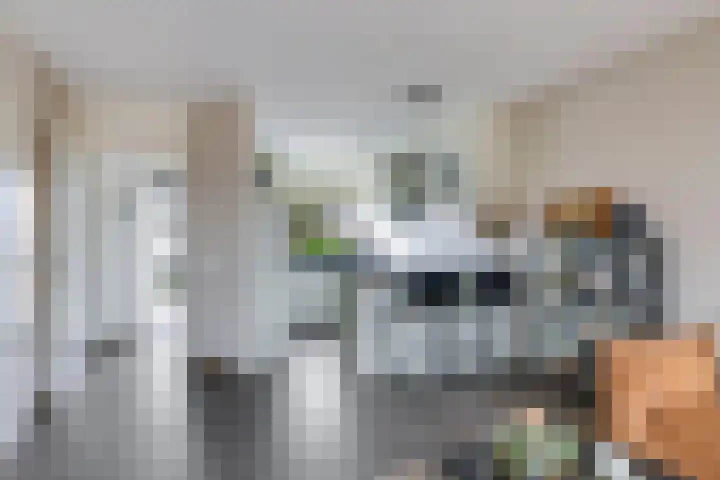 Prins Hendrikstraat 7 Andelst thumbnail 18