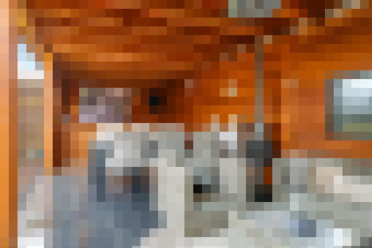 Prins Hendrikstraat 7 Andelst thumbnail 58