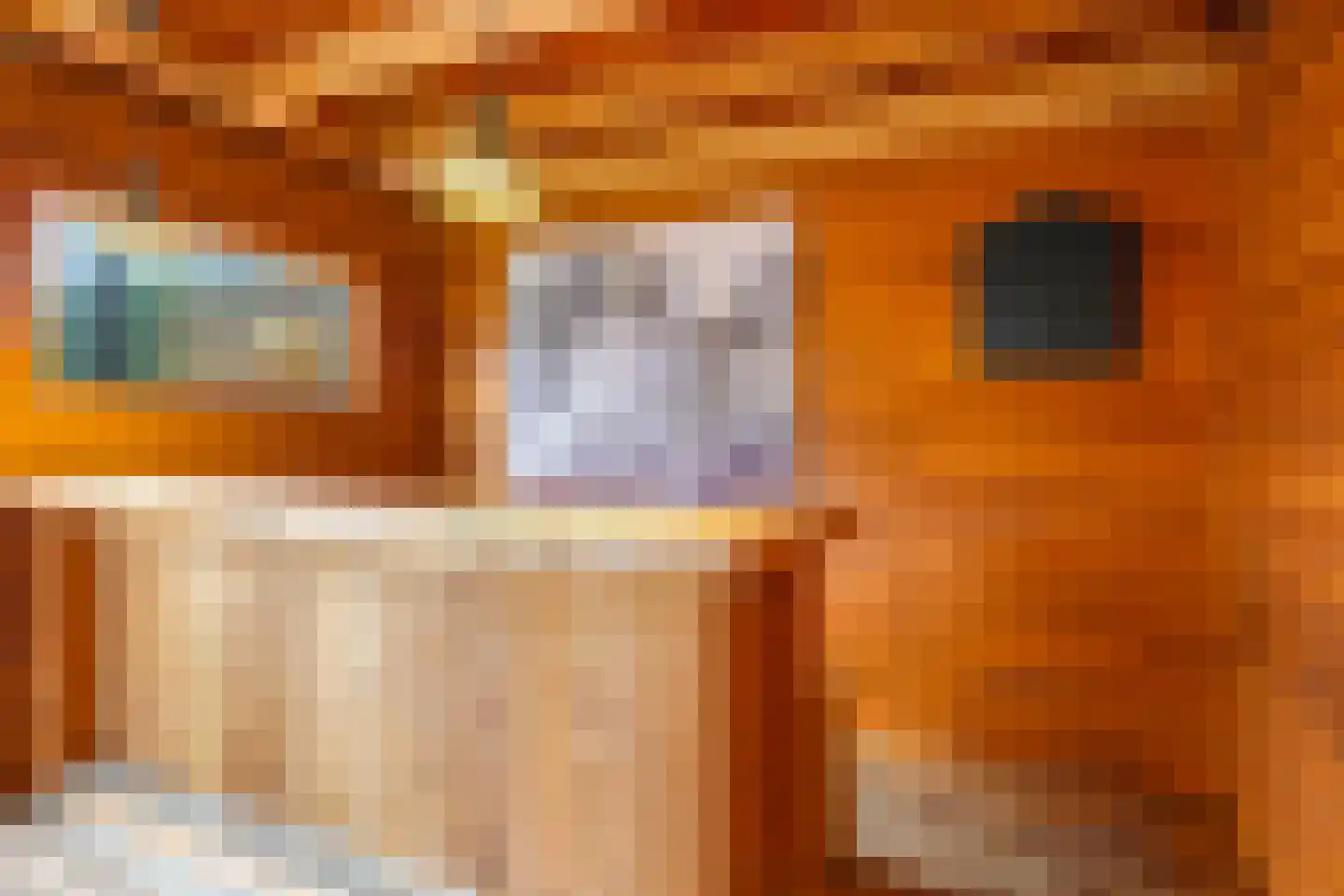 Prins Hendrikstraat 7 Andelst thumbnail 60