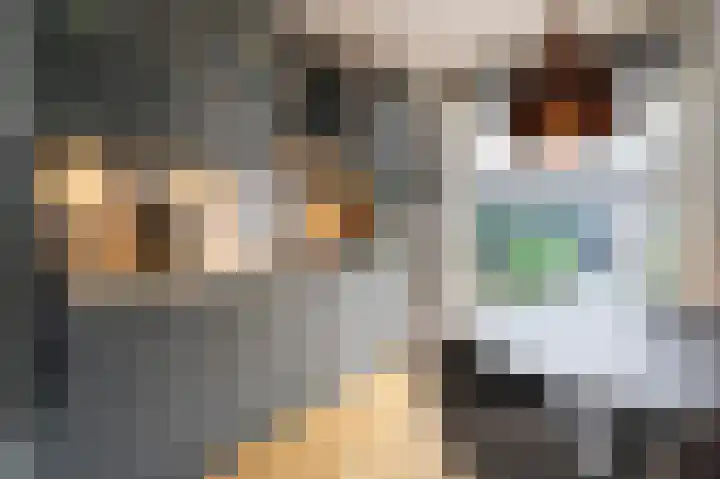 Prins Hendrikstraat 7 Arkel thumbnail 12