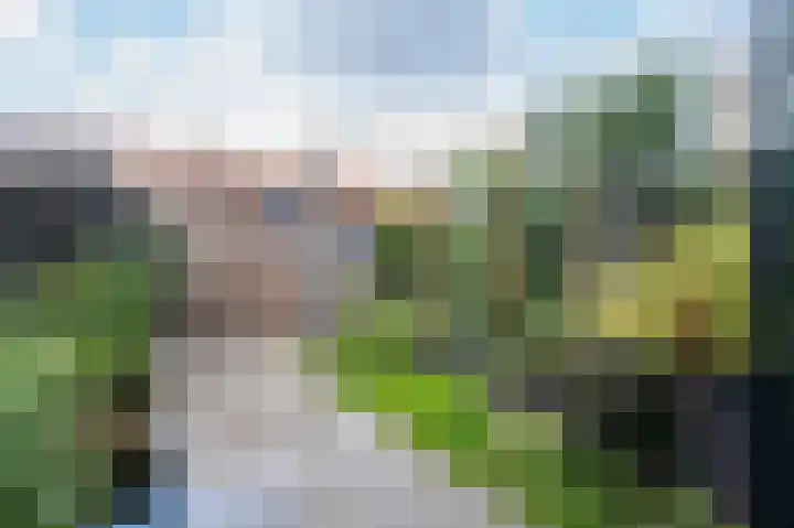 Prins Hendrikstraat 7 Arkel thumbnail 34