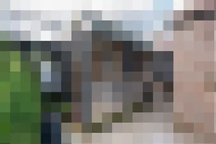 Prins Hendrikstraat 7 Arkel thumbnail 35
