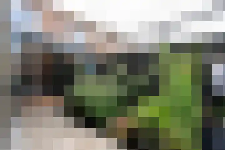 Prins Hendrikstraat 7 Arkel thumbnail 36