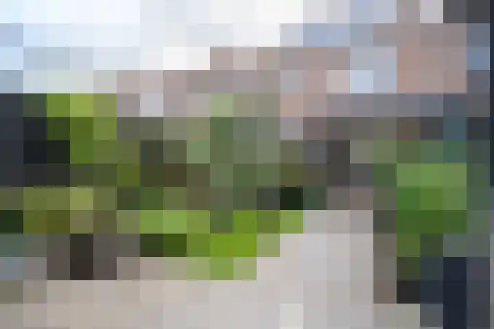 Prins Hendrikstraat 7 Arkel thumbnail 37