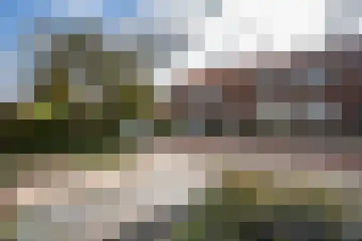 Prins Hendrikstraat 7 Arkel thumbnail 39