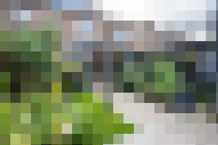 Prins Hendrikstraat 7 Arkel thumbnail 4