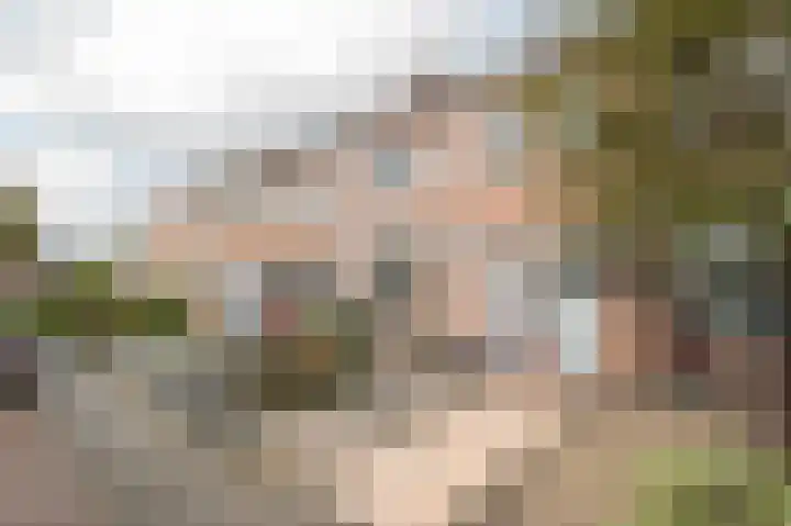 Prins Hendrikstraat 7 Arkel thumbnail 5