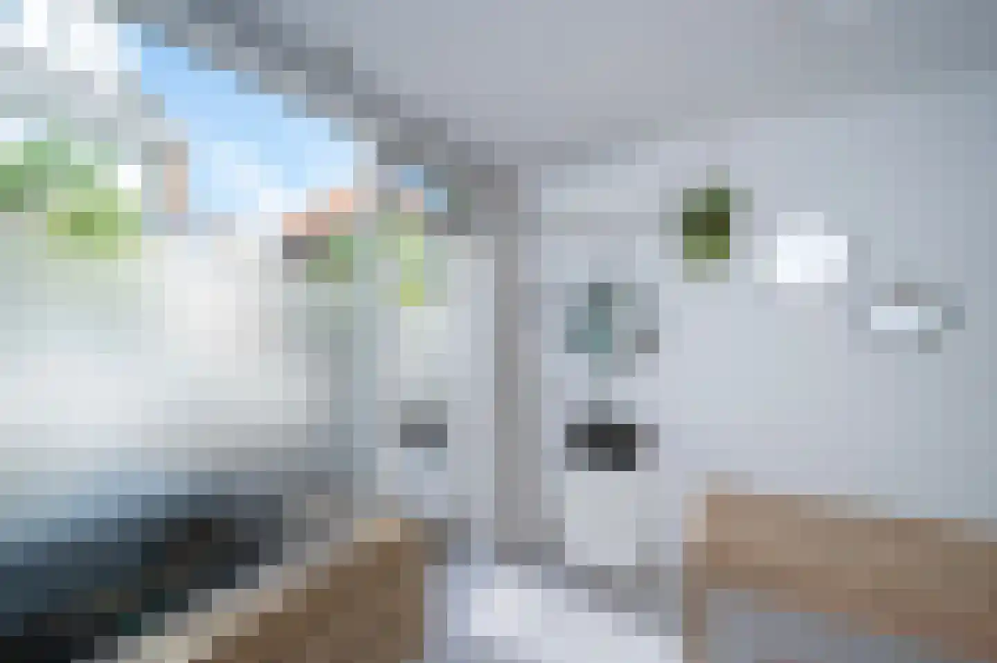 Prins Hendrikstraat 73 A Alphen aan den Rijn thumbnail 30