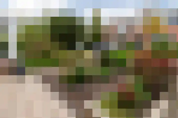 Prins Hendrikstraat 75 Wateringen thumbnail 37
