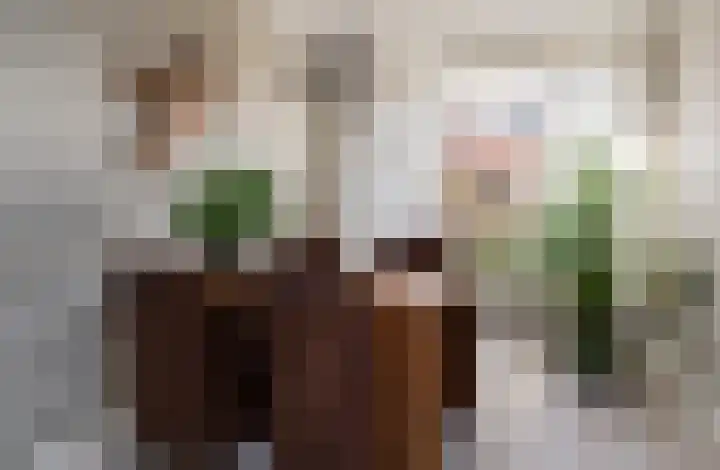 Prins Hendrikstraat 75 Wateringen thumbnail 8