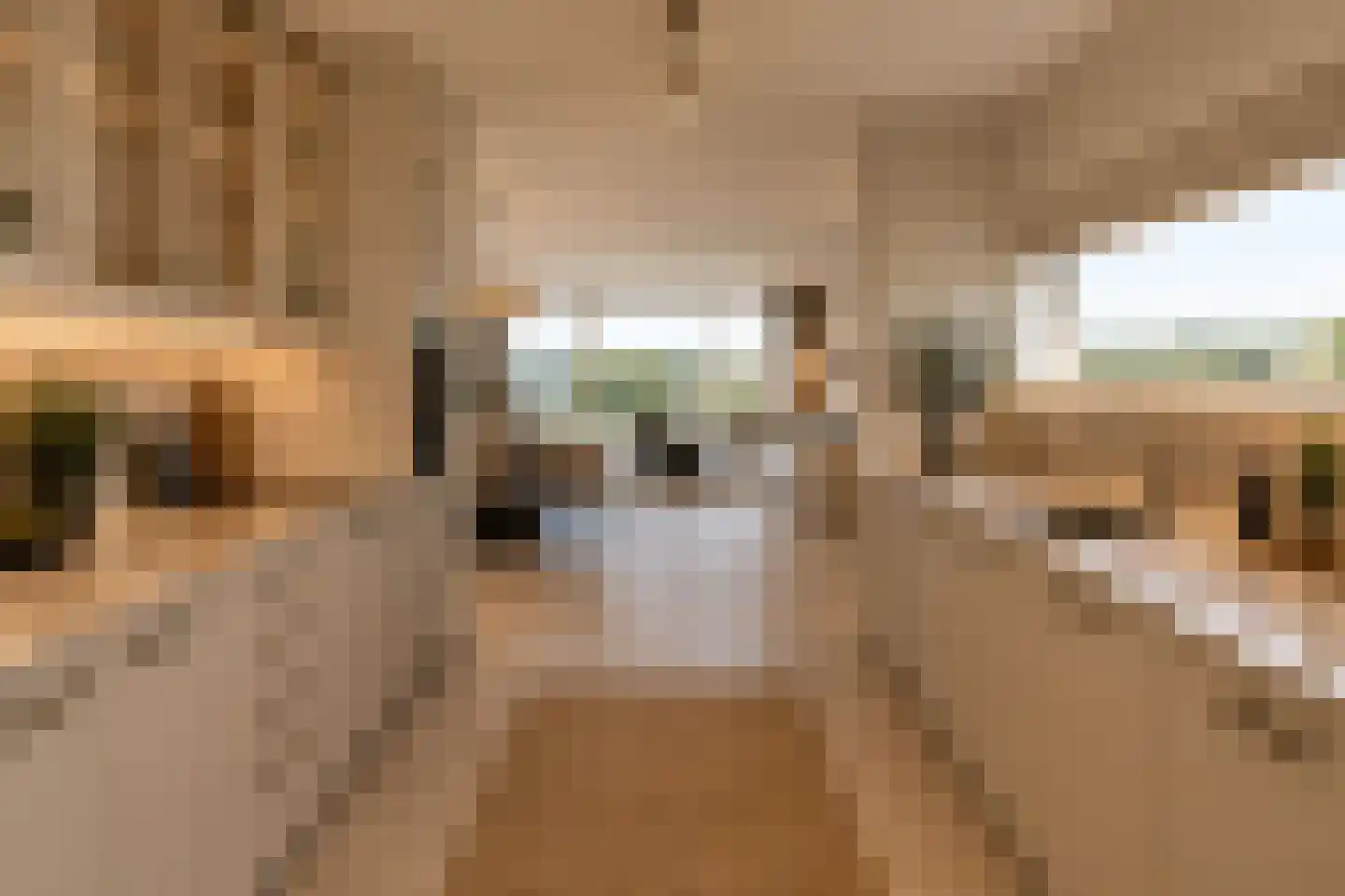 Prins Hendrikstraat 8 Alphen aan den Rijn thumbnail 16