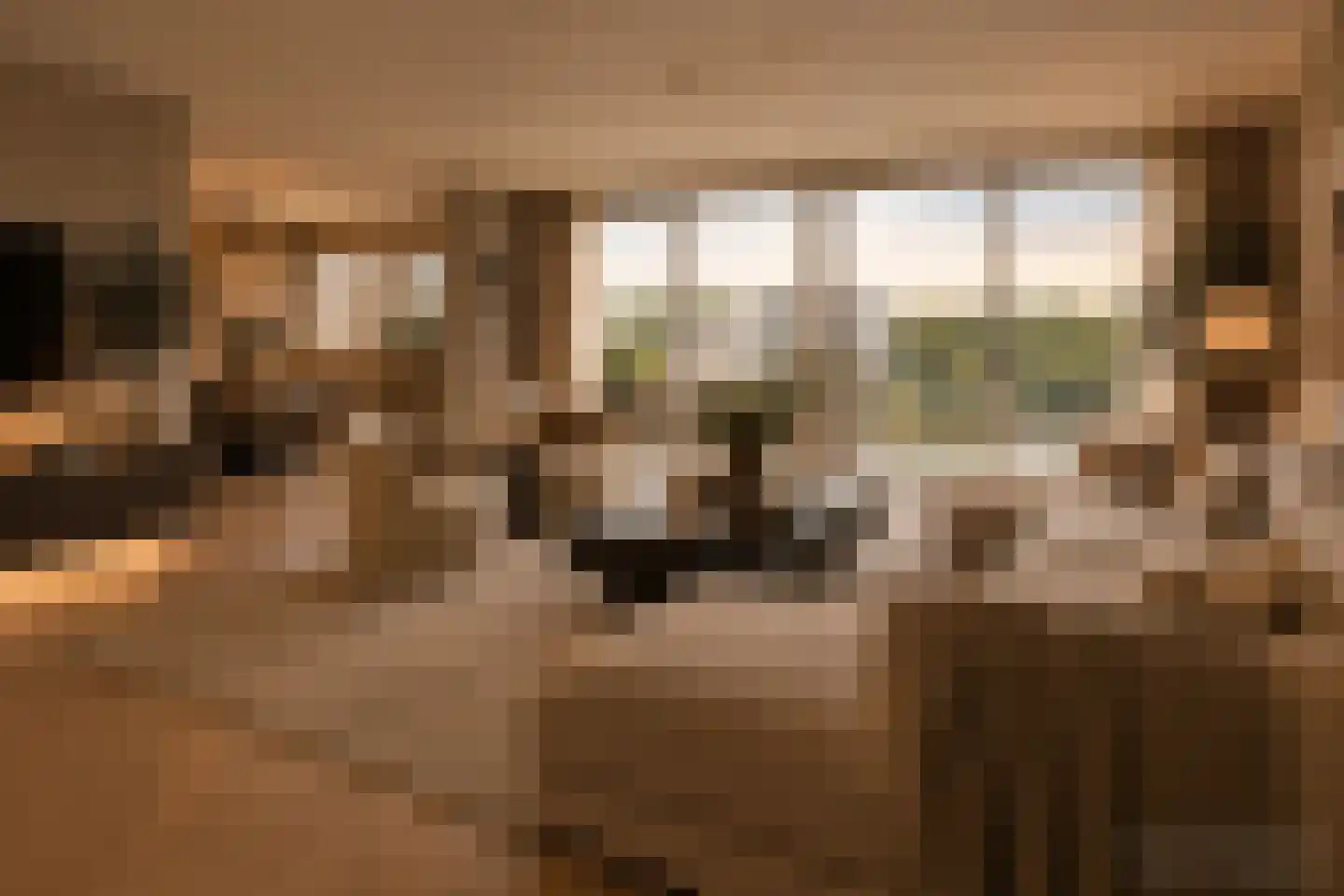 Prins Hendrikstraat 8 Alphen aan den Rijn thumbnail 5