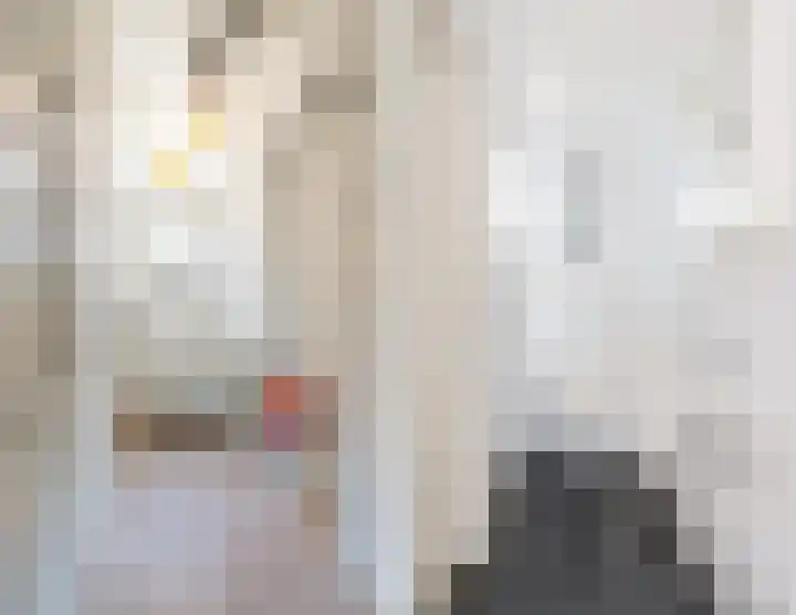 Prins Hendrikstraat 8 Eindhoven thumbnail 18