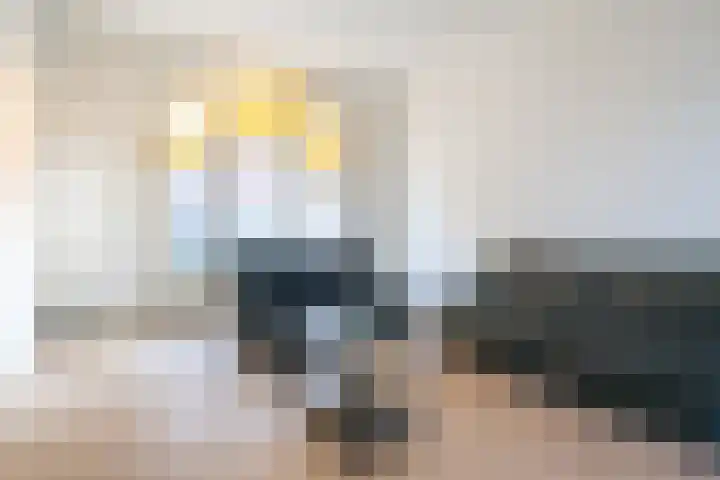 Prins Hendrikstraat 8 Eindhoven thumbnail 4