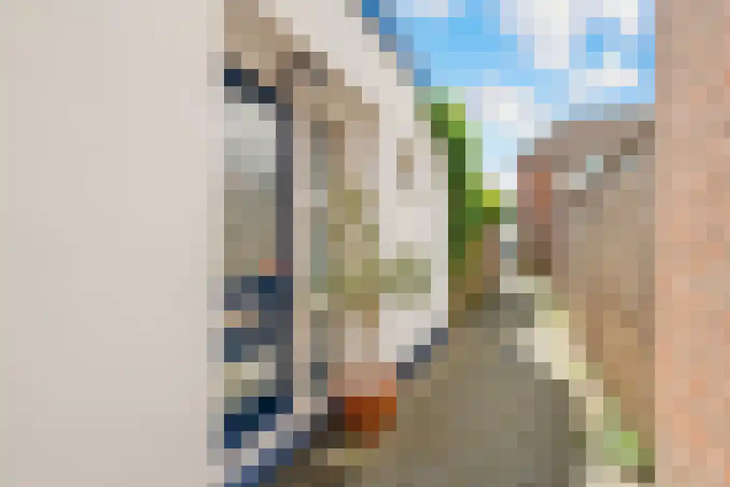 Prins Hendrikstraat 8 Krommenie thumbnail 17