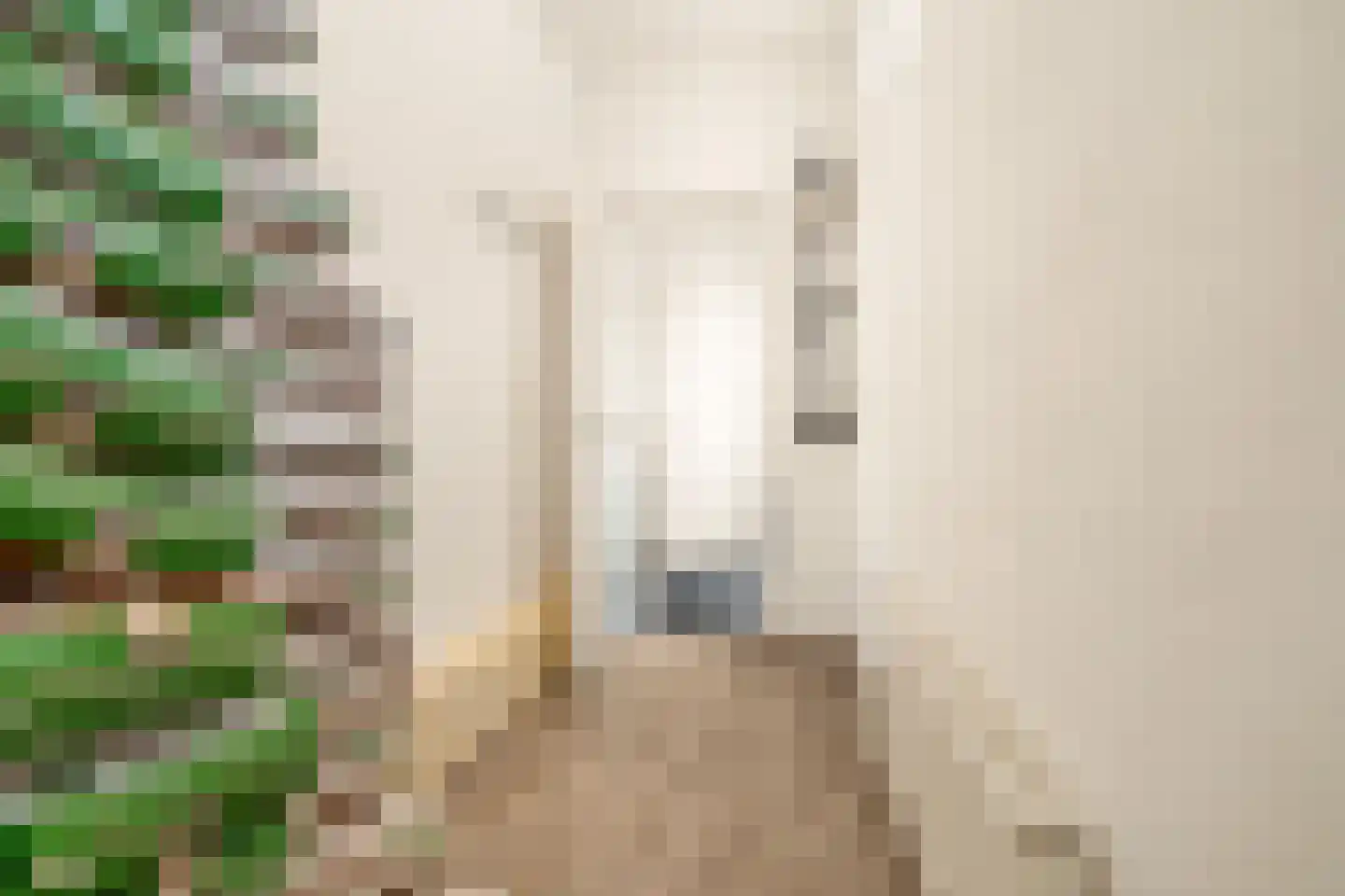 Prins Hendrikstraat 8 Krommenie thumbnail 21
