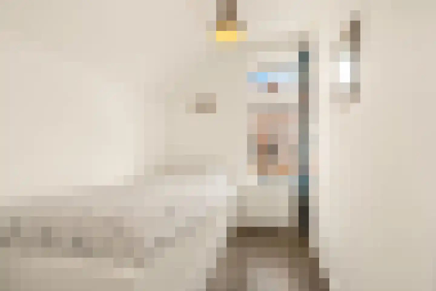 Prins Hendrikstraat 8 Krommenie thumbnail 33