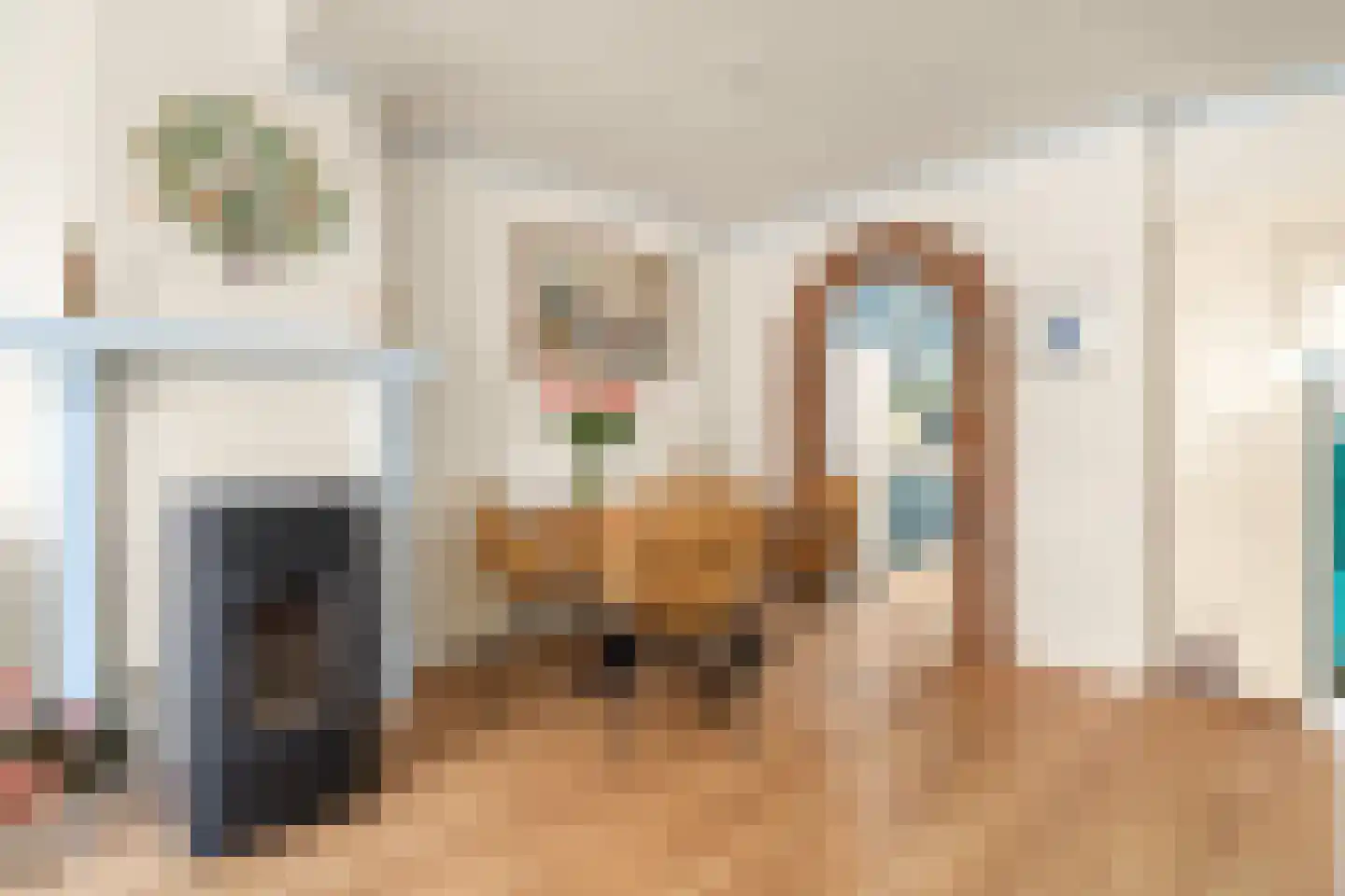 Prins Hendrikstraat 8 Krommenie thumbnail 8