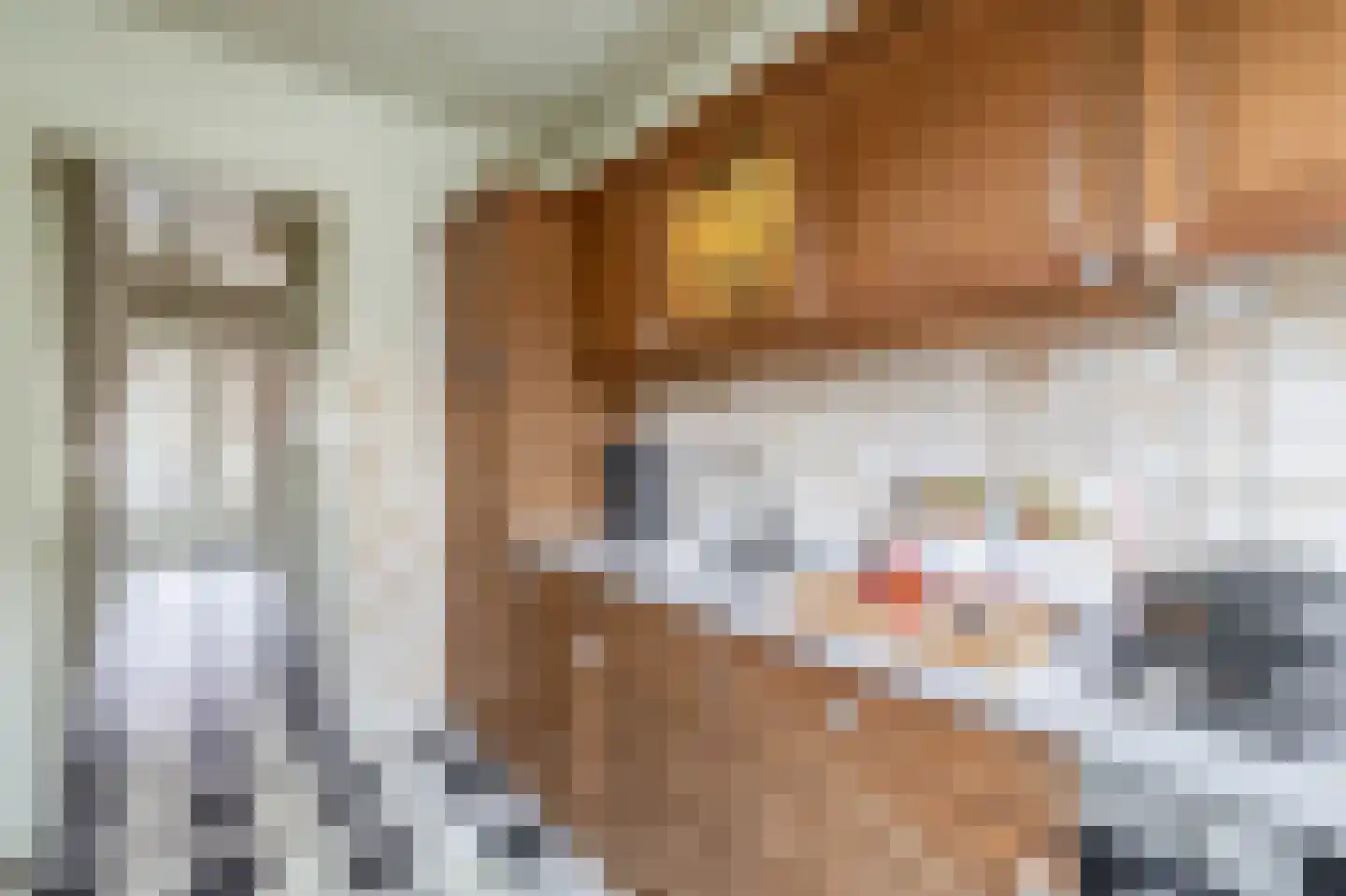 Prins Hendrikstraat 8 Lisse thumbnail 10
